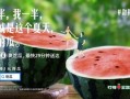 娱乐吃瓜常用文案,明星们的幕后故事与八卦风云