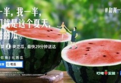 娱乐吃瓜常用文案,明星们的幕后故事与八卦风云